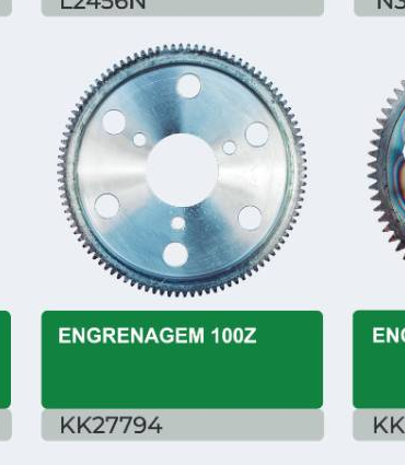 ENGRENAGEM 100Z — KK27794 - imagem 1